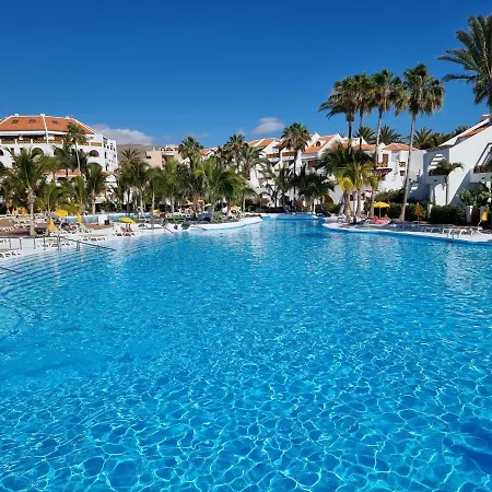 Apartment Studio No 2 Just 100 To And Sea, Large Terrace, Heated Pool, Wifi, Aircondition For A Fee Playa de las Americas (Tenerife)